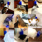 Kratzmassagegerät für Katzen - Pflegebürste zur Haarentfernung und Fellpflege von Hunden und Kätzchen"